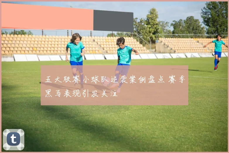 五大联赛小球队逆袭案例盘点 赛季黑马表现引发关注