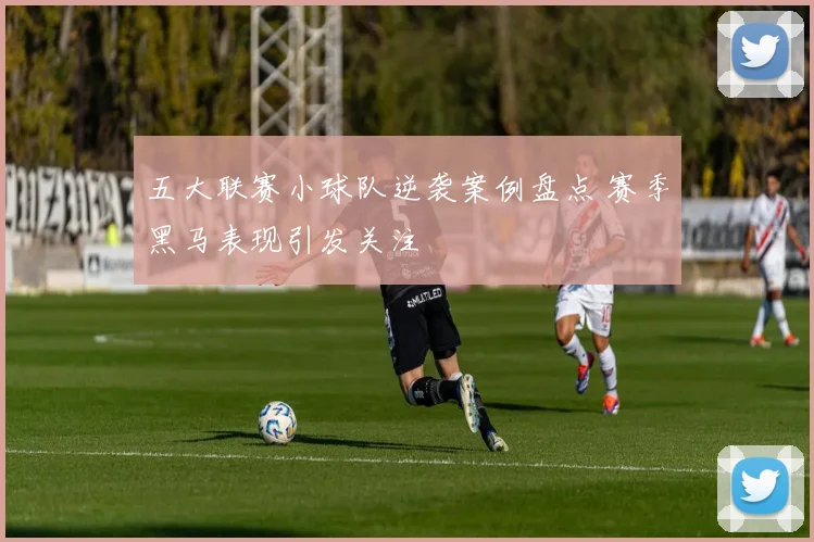 五大联赛小球队逆袭案例盘点 赛季黑马表现引发关注