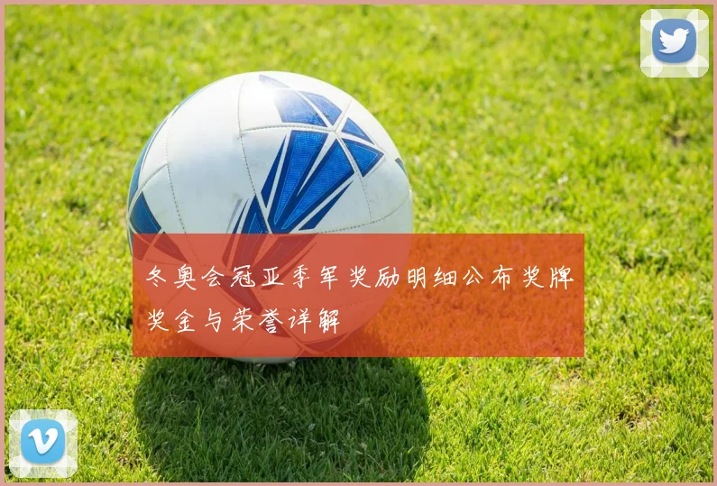 冬奥会冠亚季军奖励明细公布奖牌奖金与荣誉详解