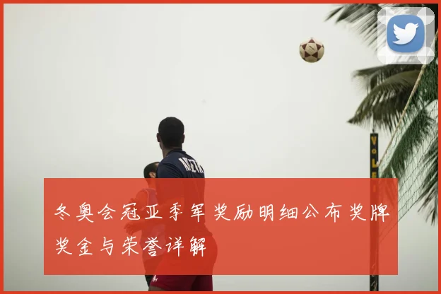 冬奥会冠亚季军奖励明细公布奖牌奖金与荣誉详解